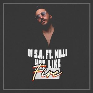 DJ S.A. Ft. Milli - Hot Like Fire - Cover